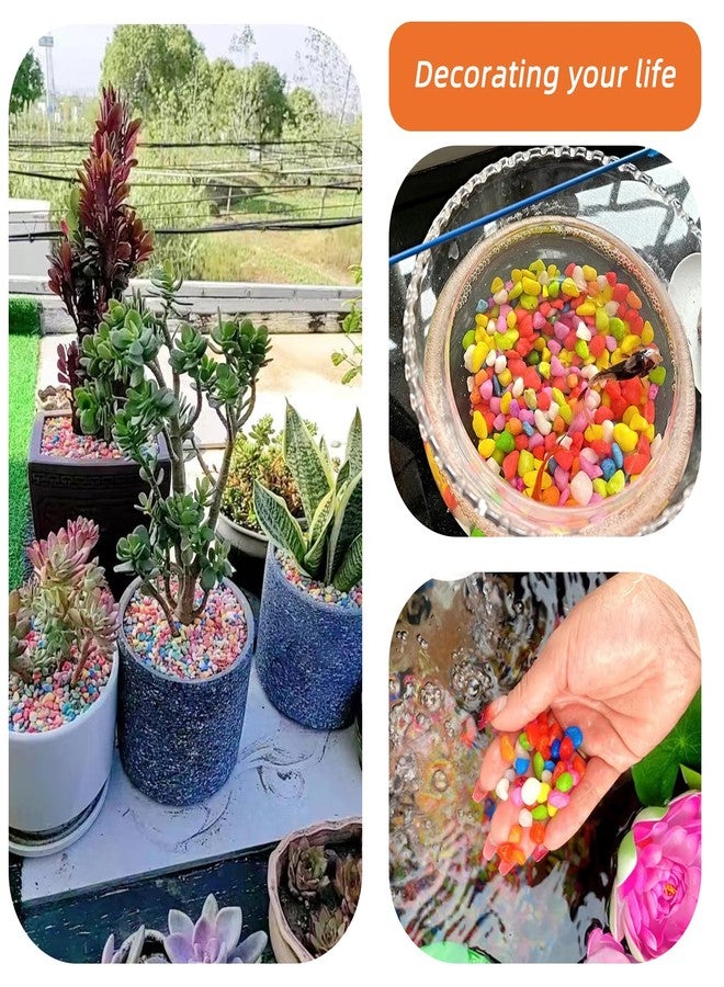 TACOLO Orange Pebbles for Crafts, 0.9 Pound Natural Polished Aquarium Gravel, Decorative Pebbles for Indoor Plants, Turtle Tank, Vase, Succulents Cactus, Garden Landscaping - Image 4